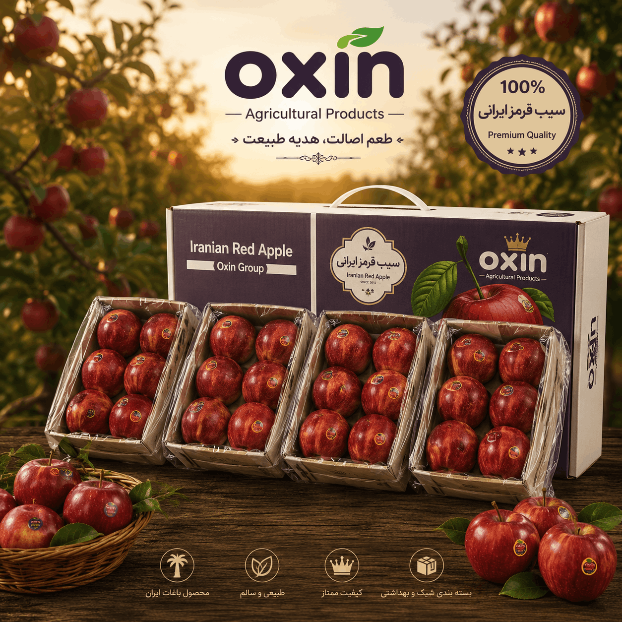 oxin apple