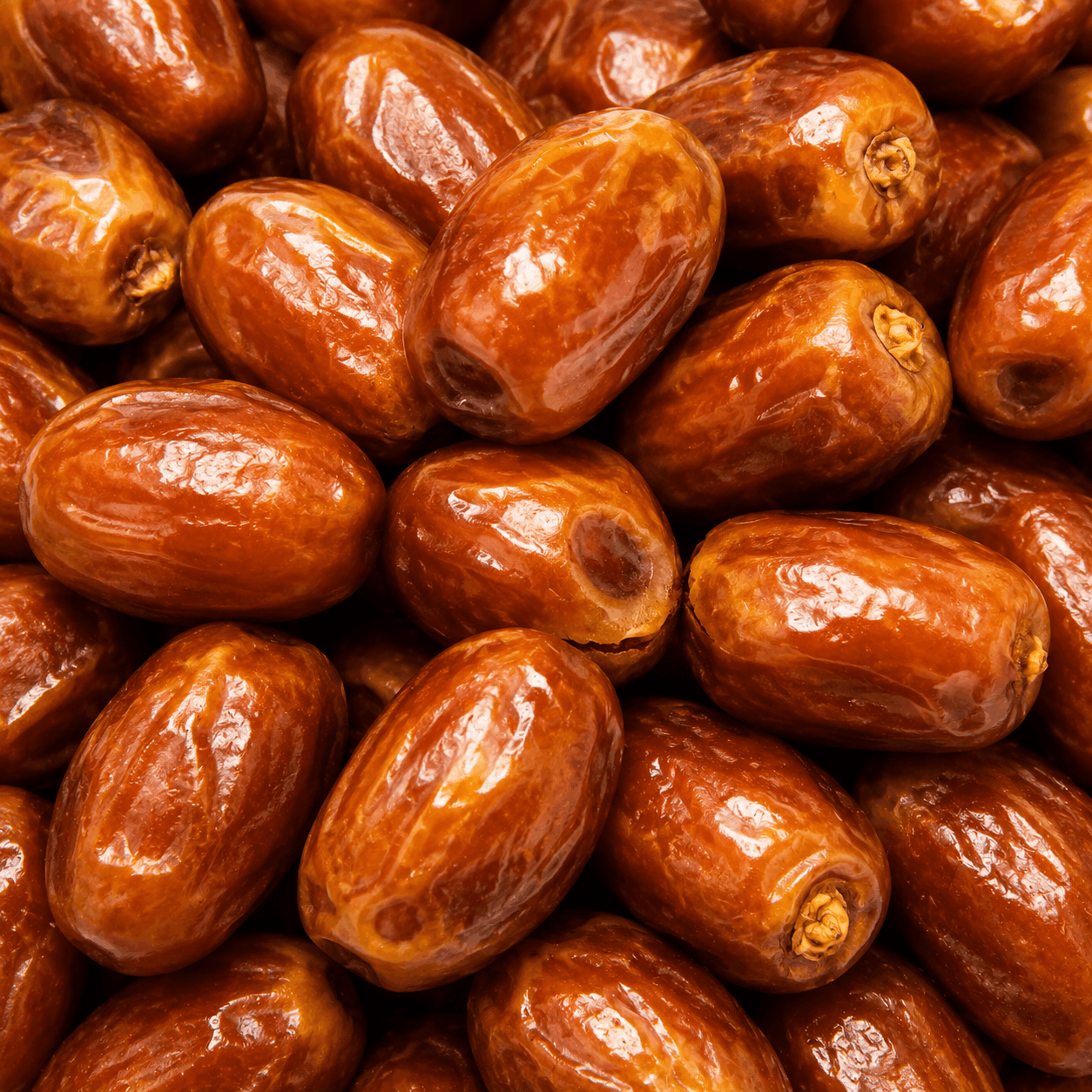 zahedi date